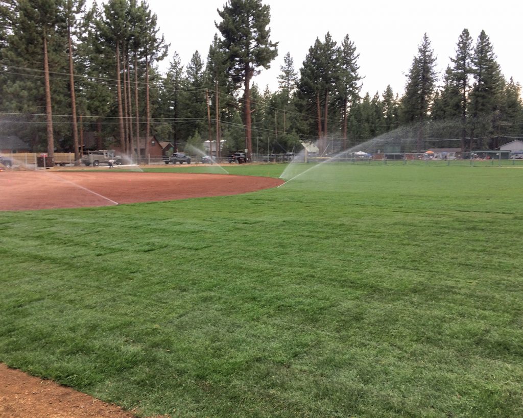 Ballfield Sod Installation Lake Tahoe - Earth &amp; Stone Landscapes