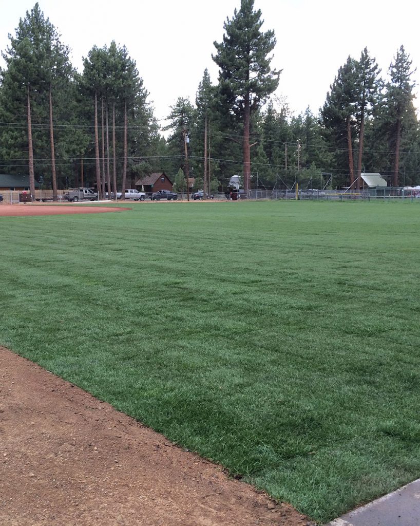 Ballfield Sod Installation for Tahoe and surrounding areas - Earth &amp; Stone Landscapes