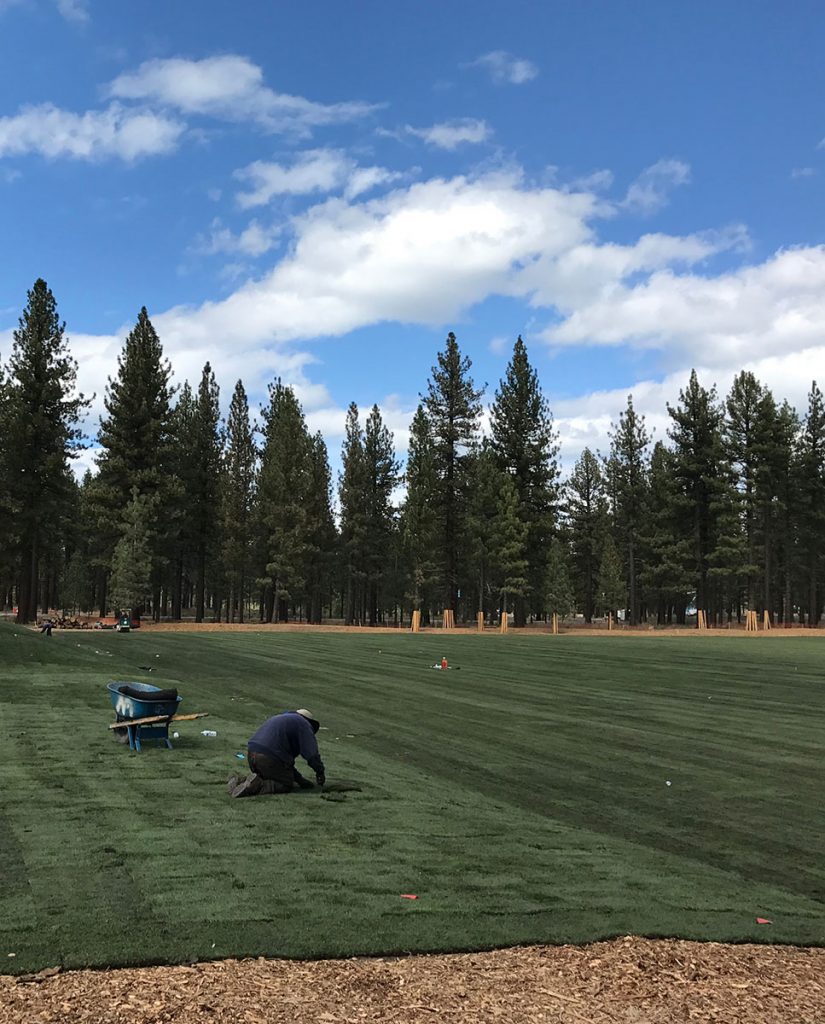 LTCC Soccer Field Sod Installation - Earth &amp; Stone Landscapes