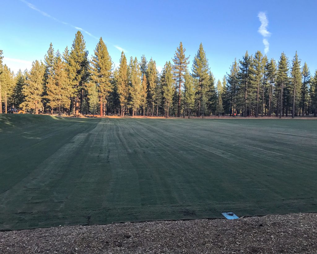 Community College Soccer Field Sod Installation by Earth &amp; Stone Landscapes - Tahoe and surrounding areas