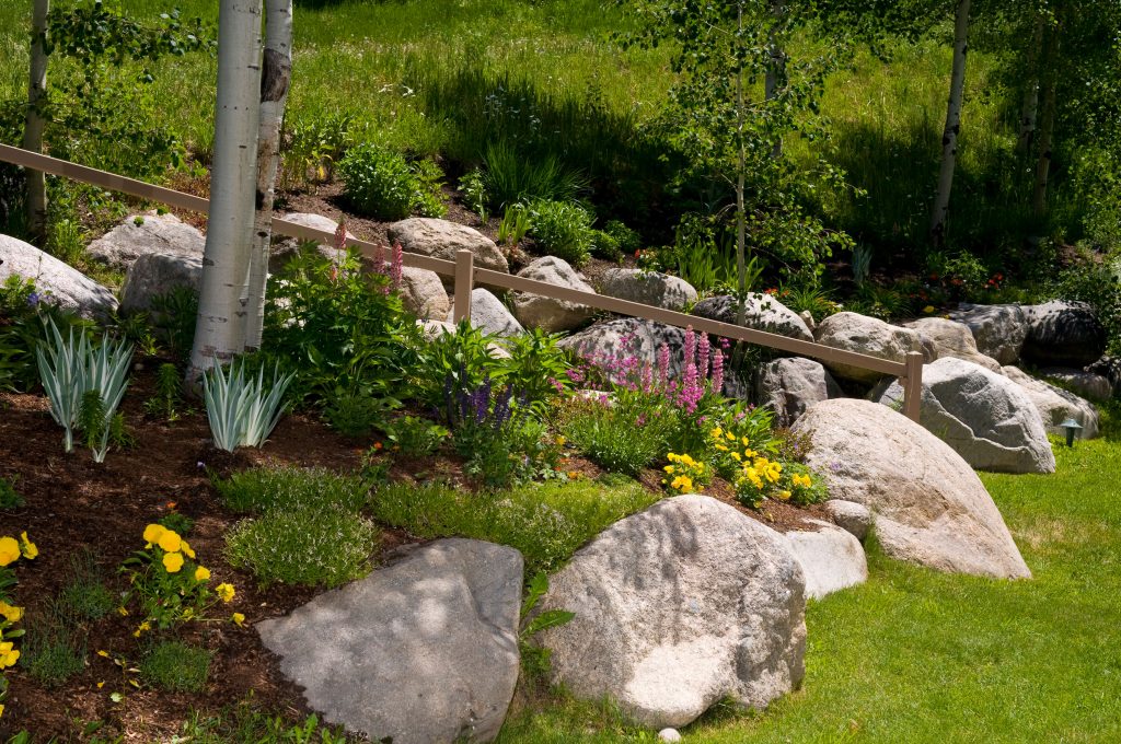 Landscaping and planting examples, Earth &amp; Stone Landscapes - South Lake Tahoe and surrounding areas including Gardnerville