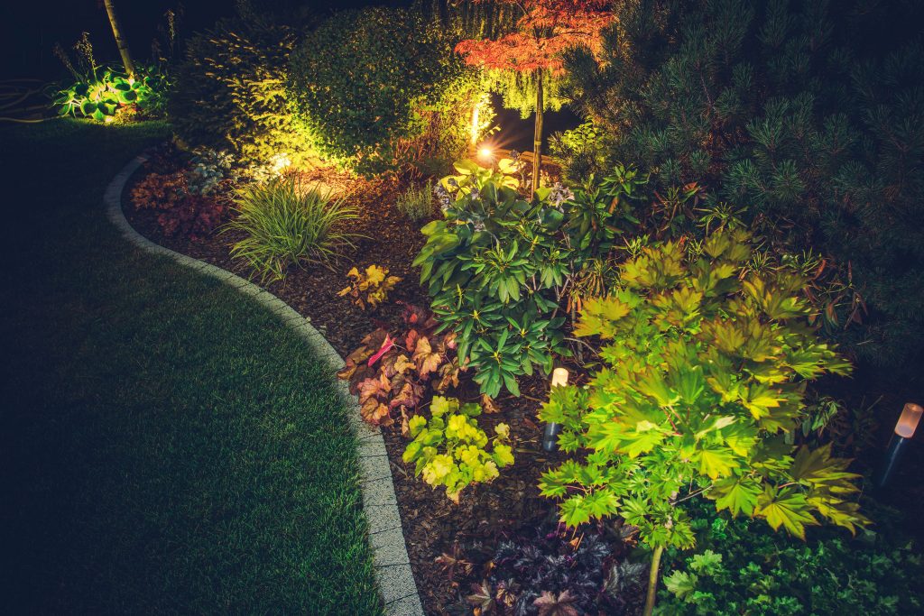 Backyard Landscape Lights by Earth &amp; Stone Landscapes - South Lake Tahoe