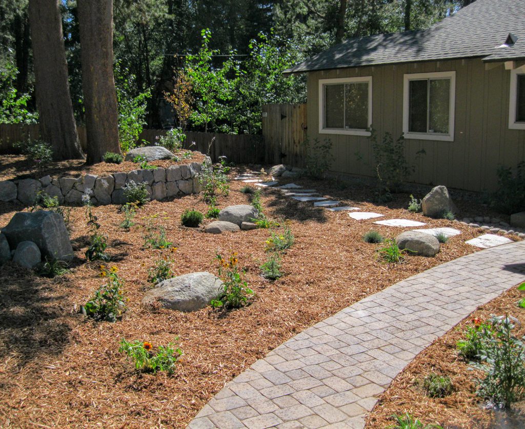 Planting Installation with Paver Path for Tahoe and surrounding areas - Earth &amp; Stone Landscapes