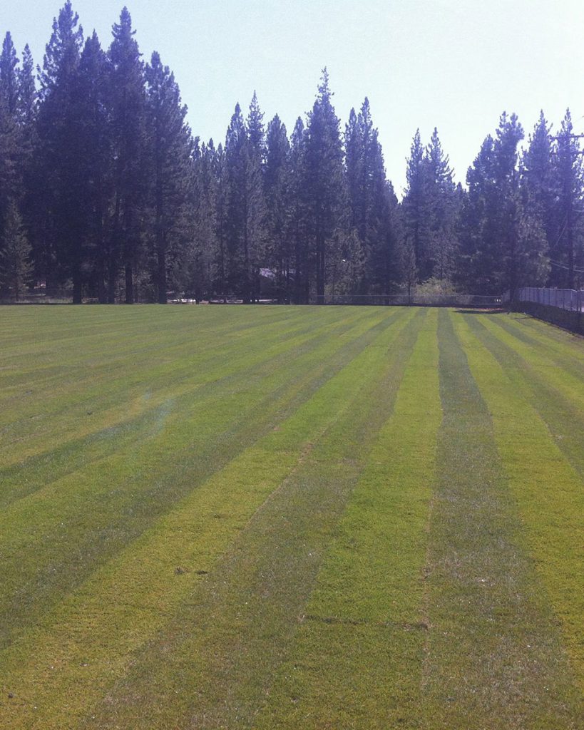 Playing Field Sod Installation by Earth &amp; Stone Landscapes - Tahoe and surrounding areas