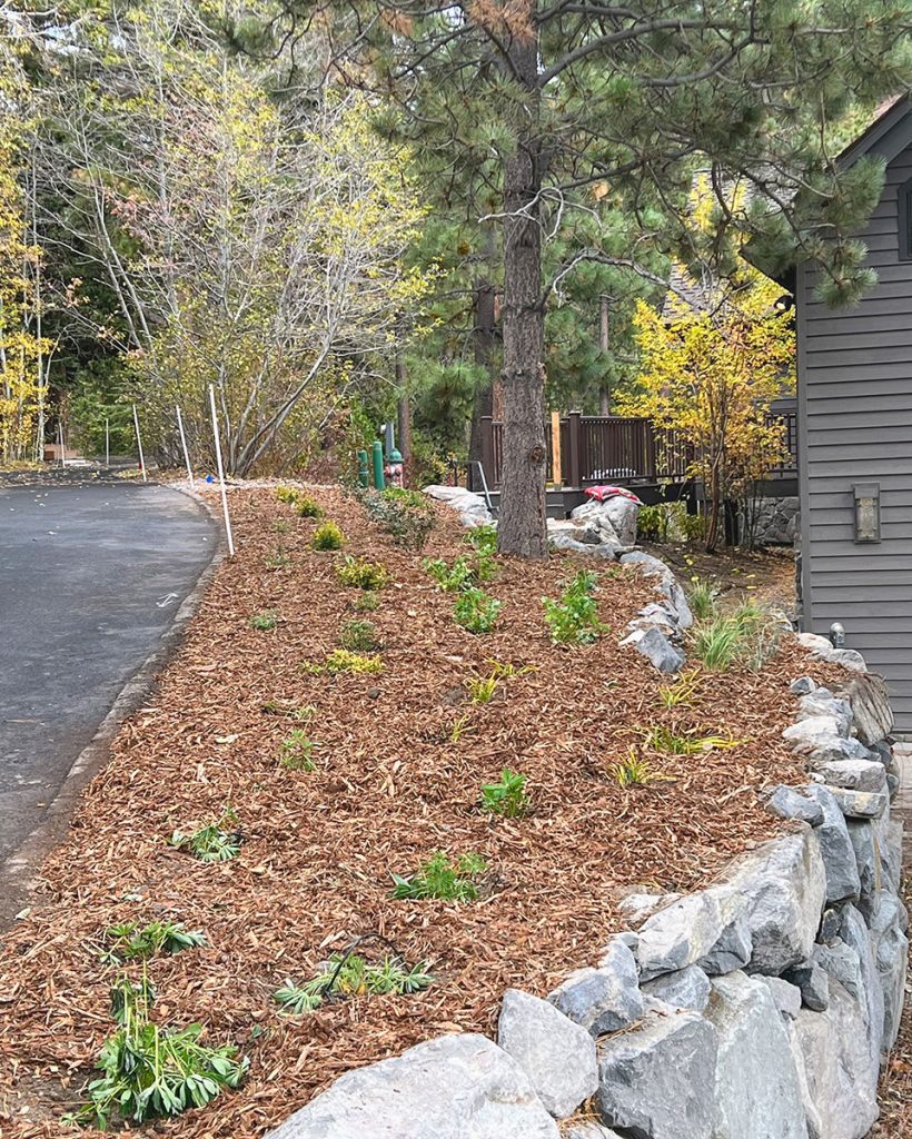 Raised Rock Planting Area Next to Driveway - Earth &amp; Stone Landscapes - Tahoe and surrounding areas.