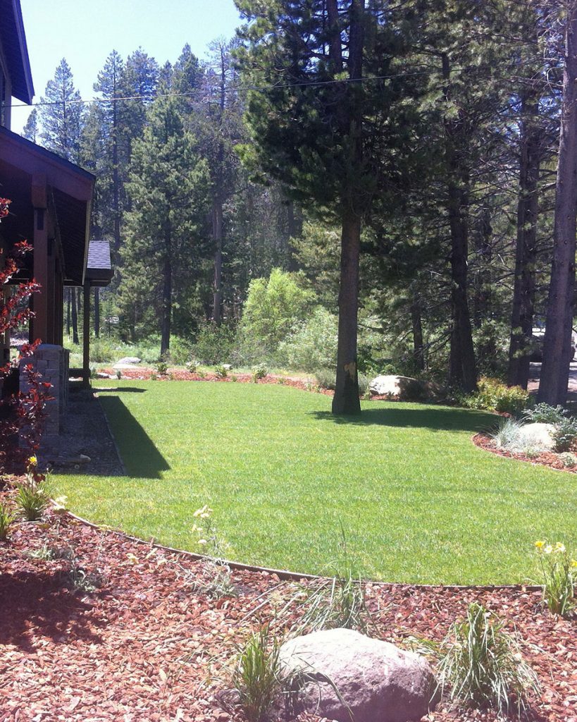 All Season Residential Lawn Installation - Earth &amp; Stone Landscapes - Lake Tahoe and surrounding areas