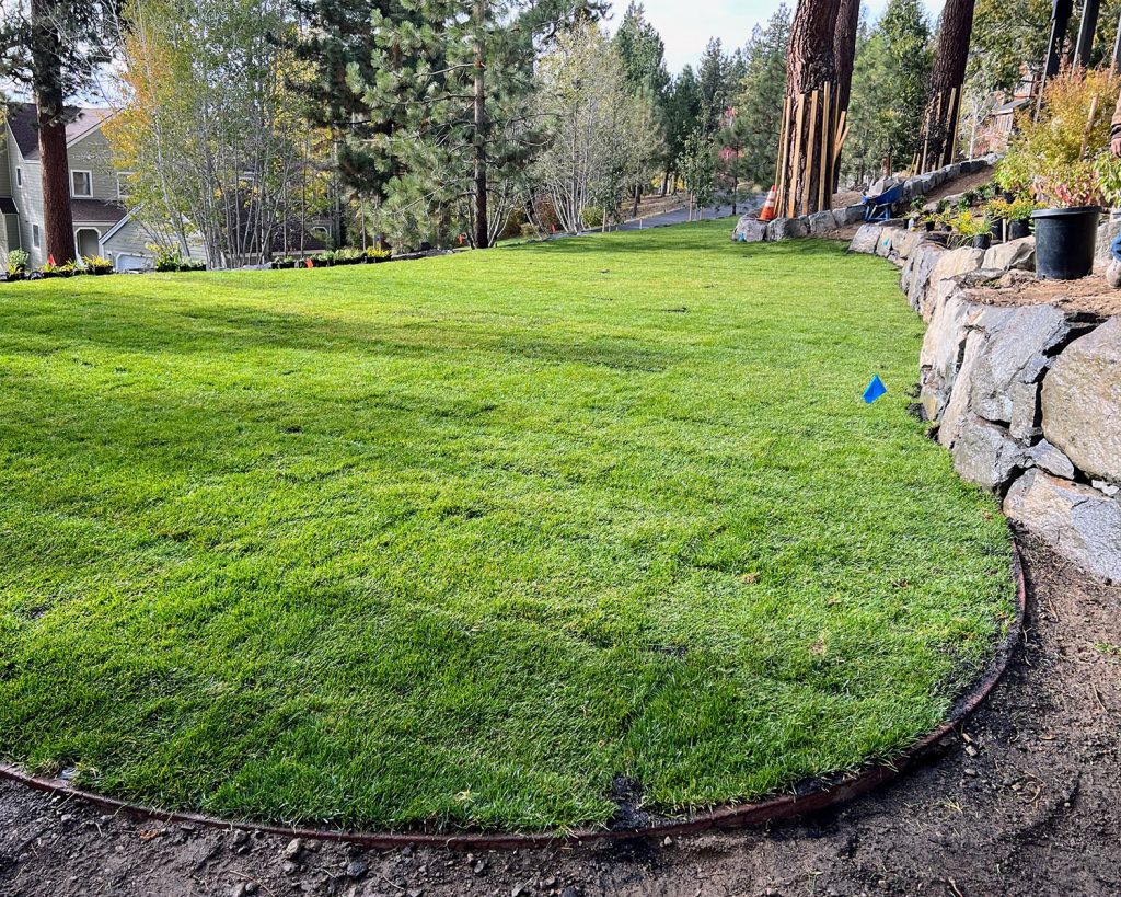 High Altitude Residential Lawn Installation - Earth &amp; Stone Landscapes - Lake Tahoe and surrounding areas