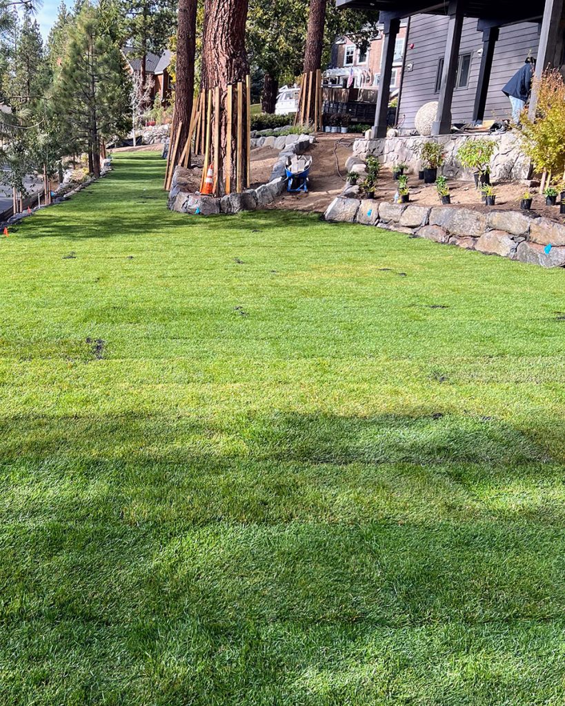 High Altitude Residential Lawn Installation - Earth &amp; Stone Landscapes - Lake Tahoe and surrounding areas
