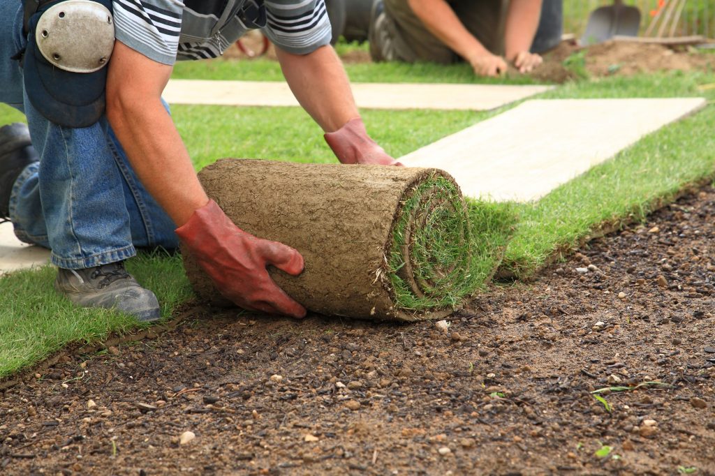 Sod Installation by Earth &amp; Stone Landscapes - South Lake Tahoe