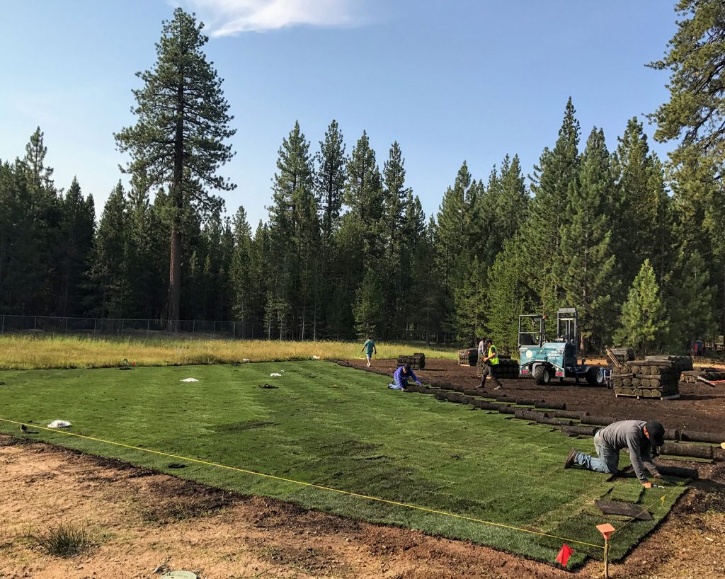 Sod Installation for Large-Scale Area at high elevation by Earth &amp; Stone Landscapes - Tahoe and surrounding areas
