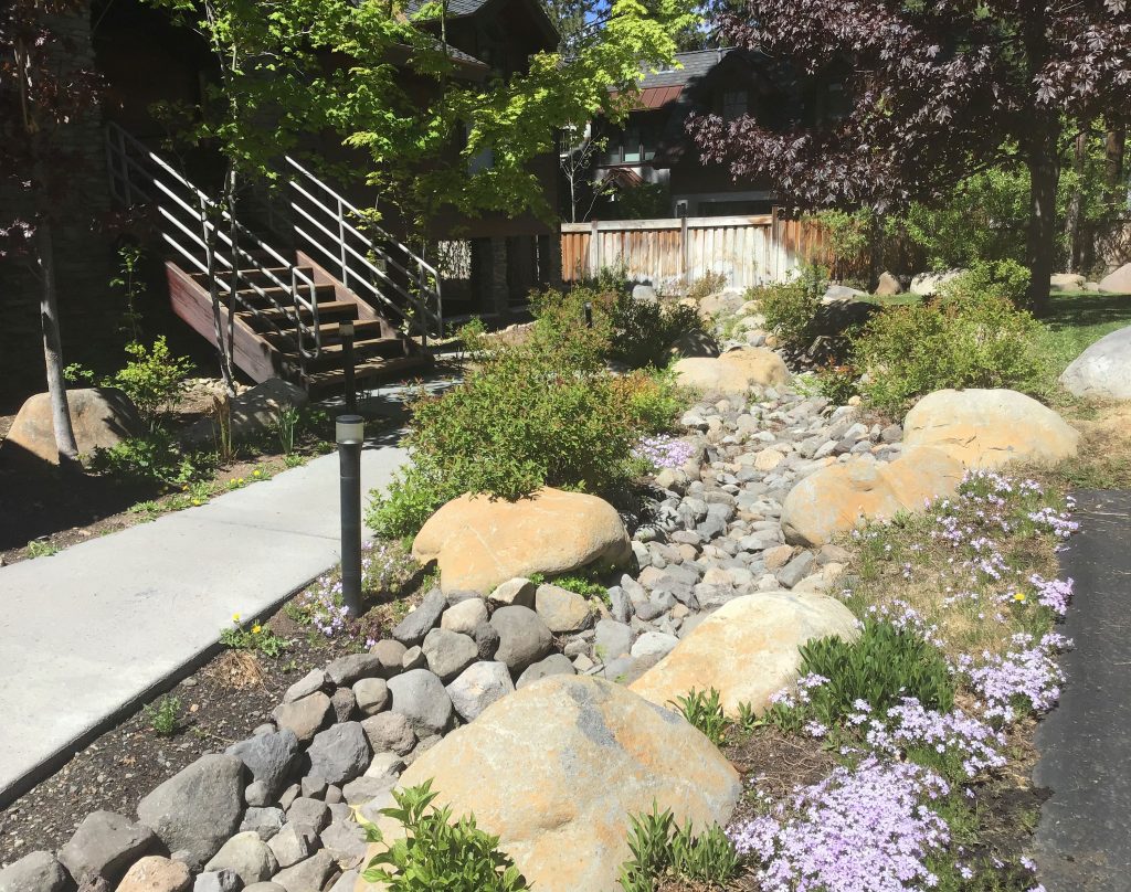 Beautiful BMP Installation by Earth &amp; Stone Landscapes - South Lake Tahoe and surrounding areas
