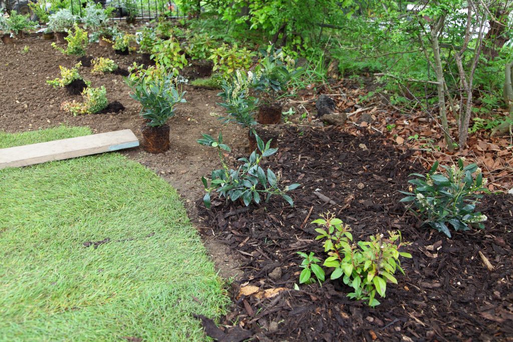 Climate specific landscape and planting in progress - Earth &amp; Stone Landscapes - Tahoe and surrounding areas