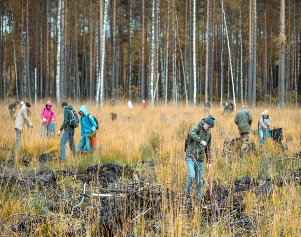 Earth &amp; Stone landscaping team working on revegetation for Lake Tahoe and surrounding areas