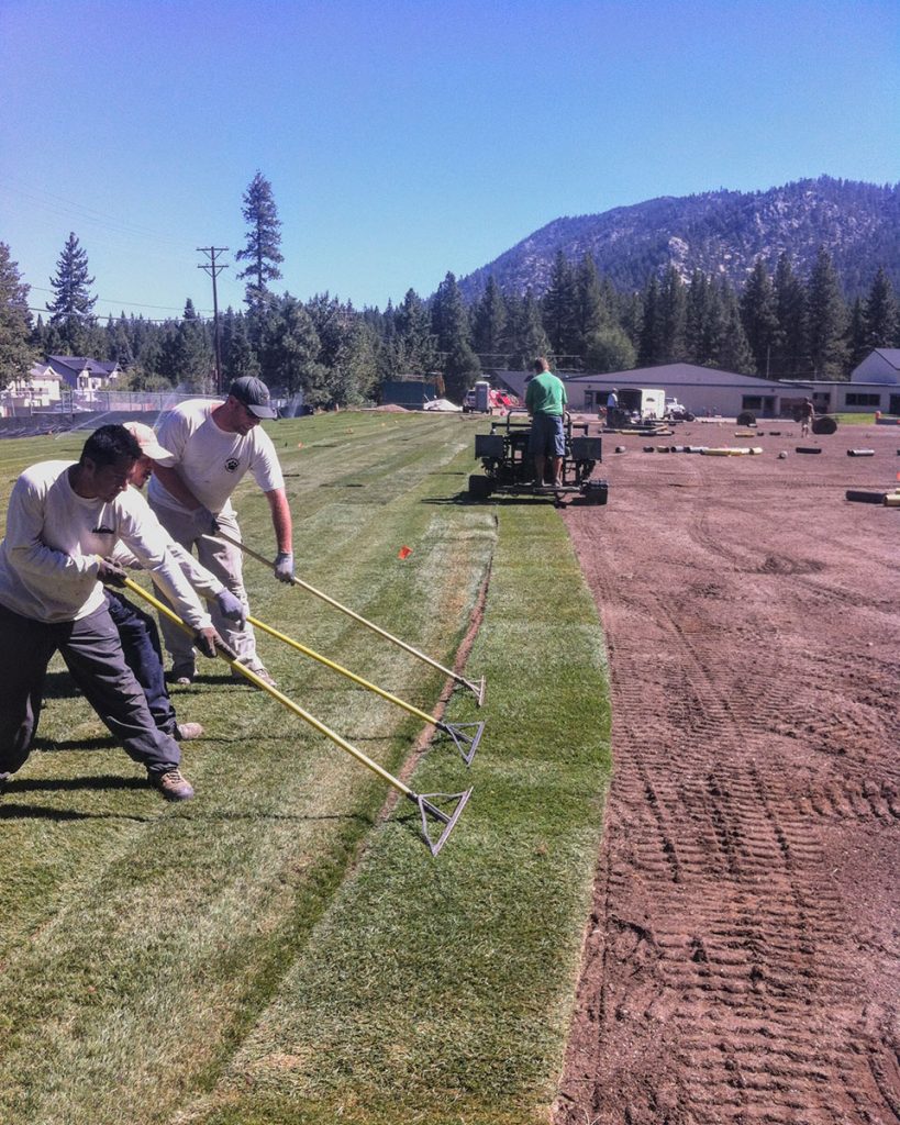 Ball Field Sod Installation by Earth &amp; Stone Landscapes Team - Lake Tahoe