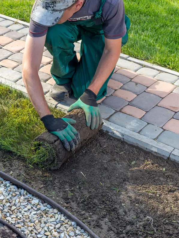 Earth & Stone Landscapes example of sod installation for custom landscapes in South Lake Tahoe.