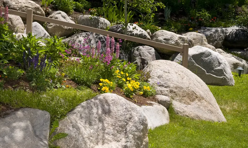 Earth & Stone Landscapes planting example in South Lake Tahoe