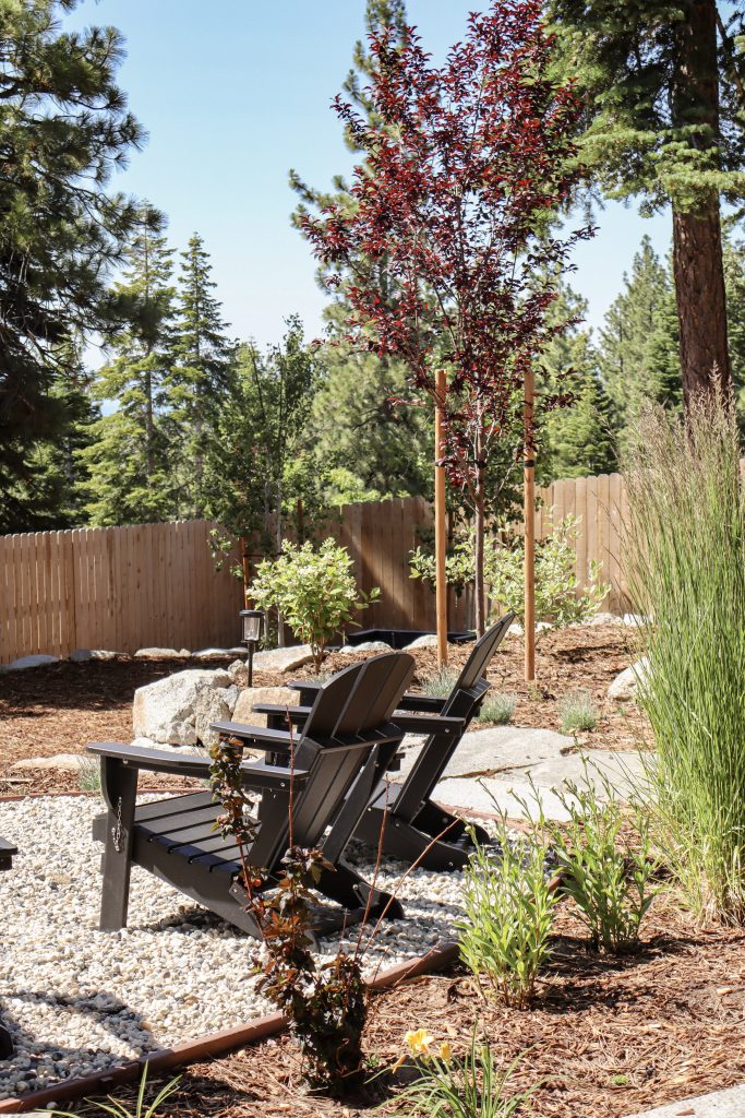 IMG_0664 outdoor entertaining area with planting