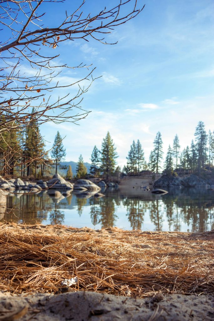 Tranquil landscape featuring a calm lake with tree reflections under a vibrant sky.