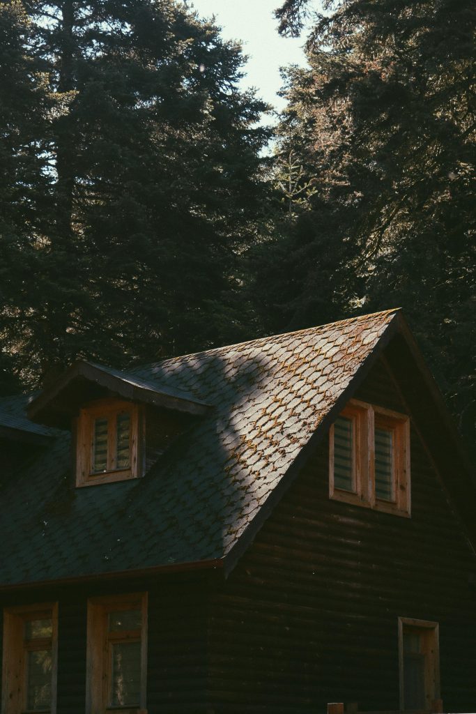 Roof with pine needles