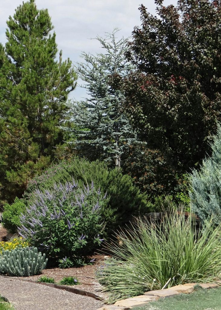 carson city landscaping installation