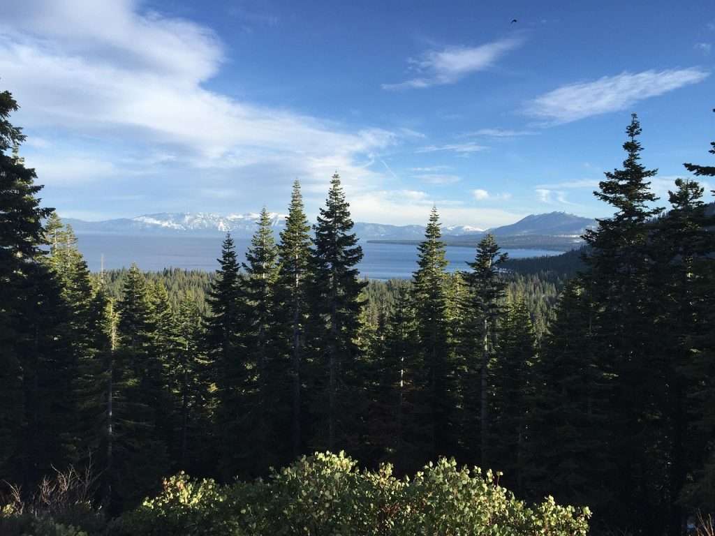 lake tahoe, nature, trees, mountain, pine, tahoe, lake, peaceful, outdoor