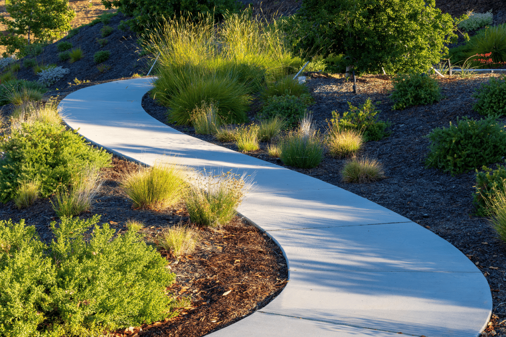 pexels-photo-17613802-17613802-1 A winding concrete path through a lush green garden with diverse plant life.