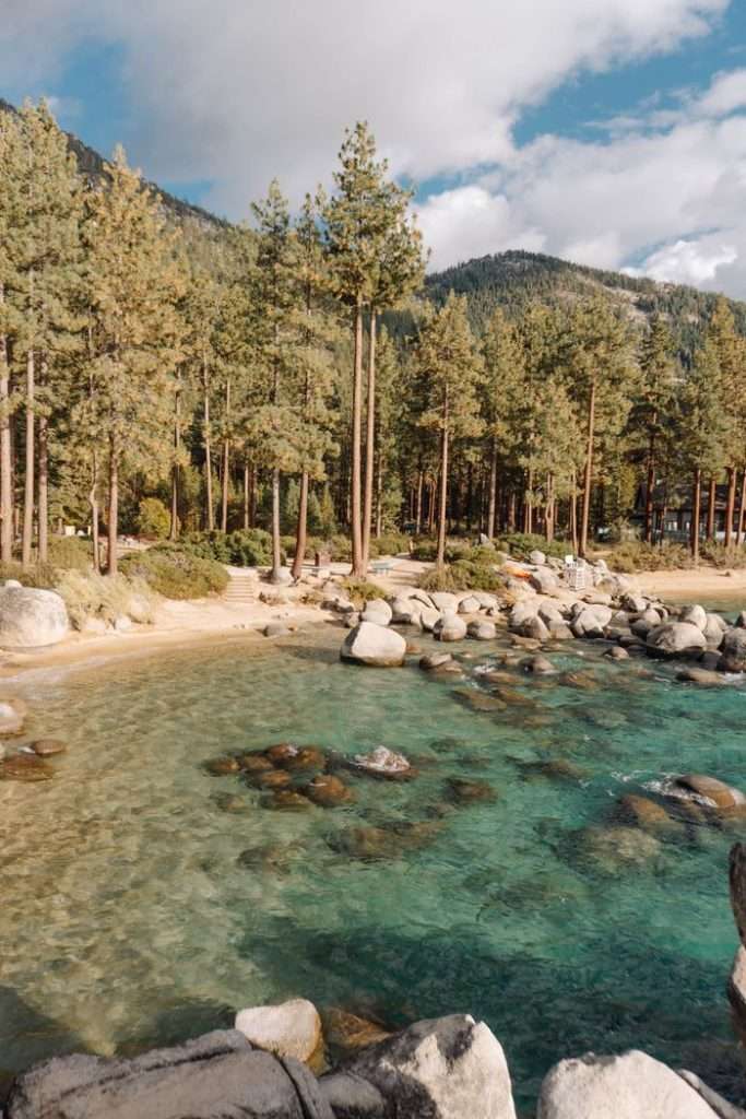 Breathtaking view of Lake Tahoe's crystal-clear water surrounded by tall pine trees under a bright sky.
